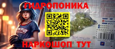 ALPHA-PVP Новозыбков
